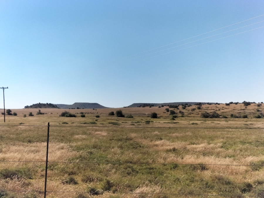 4 Bedroom Property for Sale in Bloemfontein Rural Free State